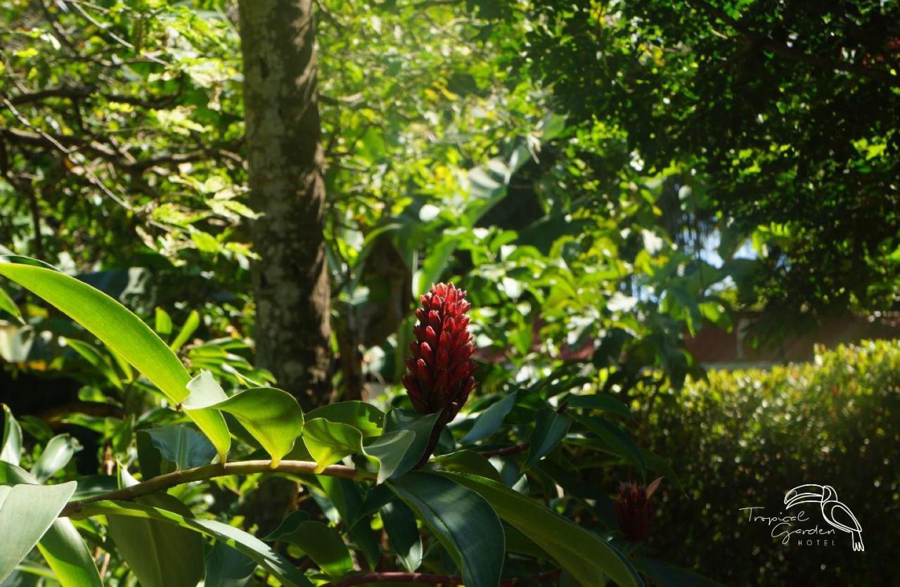 Tropical Garden Hotel Jaco Exterior photo
